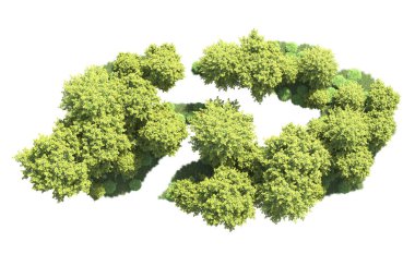 Beyaz arka plan üzerinde izole ağaçlar grubu