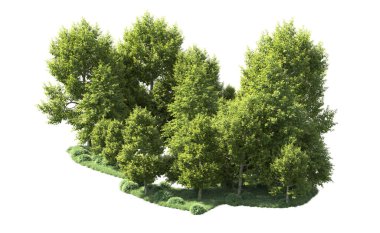 Beyaz arka plan üzerinde izole ağaçlar grubu