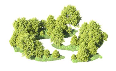 Beyaz arka plan üzerinde izole ağaçlar grubu