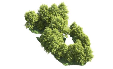 Orman ağaçları arka planda maskeyle izole edilmiş. 3d görüntüleme - illüstrasyon