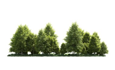 Orman ağaçları arka planda maskeyle izole edilmiş. 3d görüntüleme - illüstrasyon