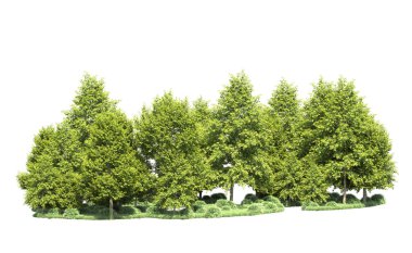 Orman ağaçları arka planda maskeyle izole edilmiş. 3d görüntüleme - illüstrasyon