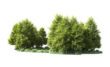 Orman ağaçları arka planda maskeyle izole edilmiş. 3d görüntüleme - illüstrasyon