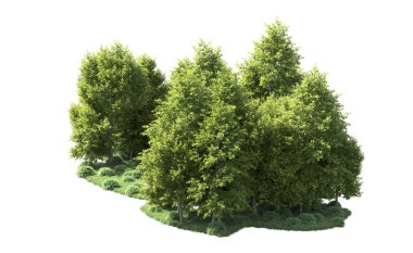 Orman ağaçları arka planda maskeyle izole edilmiş. 3d görüntüleme - illüstrasyon