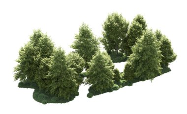 Orman ağaçları arka planda maskeyle izole edilmiş. 3d görüntüleme - illüstrasyon