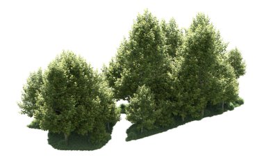 Orman ağaçları arka planda maskeyle izole edilmiş. 3d görüntüleme - illüstrasyon
