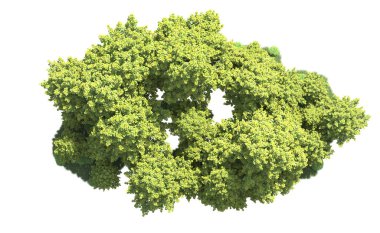 Orman ağaçları arka planda maskeyle izole edilmiş. 3d görüntüleme - illüstrasyon