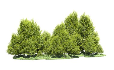 Orman ağaçları arka planda maskeyle izole edilmiş. 3d görüntüleme - illüstrasyon