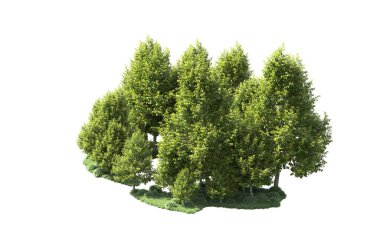 Orman ağaçları arka planda maskeyle izole edilmiş. 3d görüntüleme - illüstrasyon
