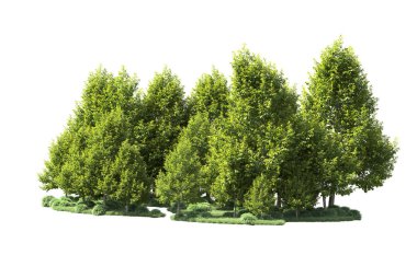 Orman ağaçları arka planda maskeyle izole edilmiş. 3d görüntüleme - illüstrasyon