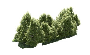 Orman ağaçları arka planda maskeyle izole edilmiş. 3d görüntüleme - illüstrasyon