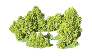 Orman ağaçları arka planda maskeyle izole edilmiş. 3d görüntüleme - illüstrasyon