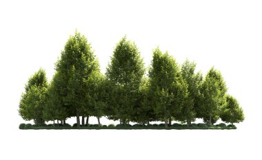 Orman ağaçları arka planda maskeyle izole edilmiş. 3d görüntüleme - illüstrasyon