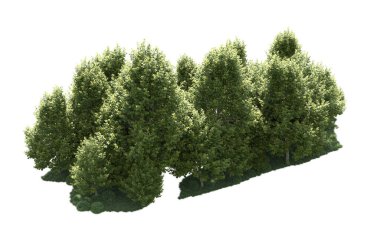 Orman ağaçları arka planda maskeyle izole edilmiş. 3d görüntüleme - illüstrasyon