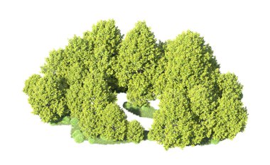 Orman ağaçları arka planda maskeyle izole edilmiş. 3d görüntüleme - illüstrasyon