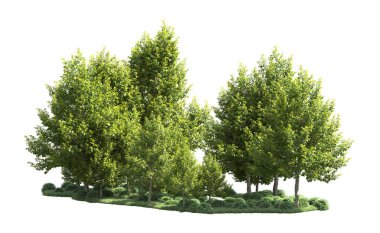 Orman ağaçları arka planda maskeyle izole edilmiş. 3d görüntüleme - illüstrasyon