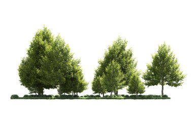 Orman ağaçları arka planda maskeyle izole edilmiş. 3d görüntüleme - illüstrasyon