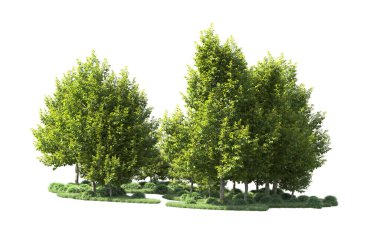 Orman ağaçları arka planda maskeyle izole edilmiş. 3d görüntüleme - illüstrasyon