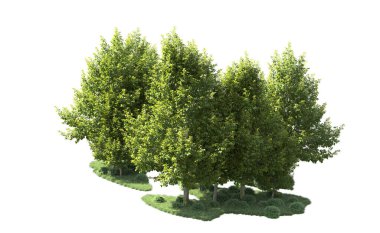 Orman ağaçları arka planda maskeyle izole edilmiş. 3d görüntüleme - illüstrasyon