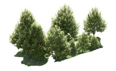 Orman ağaçları arka planda maskeyle izole edilmiş. 3d görüntüleme - illüstrasyon