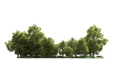 Orman ağaçları arka planda maskeyle izole edilmiş. 3d görüntüleme - illüstrasyon
