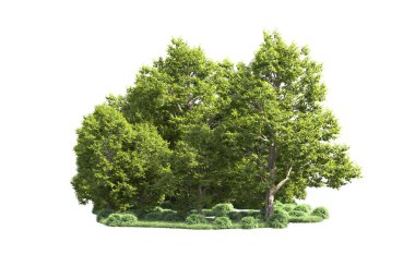 Orman ağaçları arka planda maskeyle izole edilmiş. 3d görüntüleme - illüstrasyon