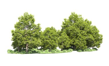 Orman ağaçları arka planda maskeyle izole edilmiş. 3d görüntüleme - illüstrasyon