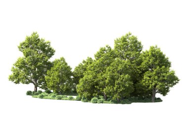 Orman ağaçları arka planda maskeyle izole edilmiş. 3d görüntüleme - illüstrasyon