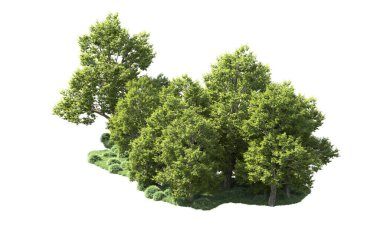 Orman ağaçları arka planda maskeyle izole edilmiş. 3d görüntüleme - illüstrasyon