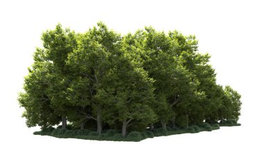 Orman ağaçları arka planda maskeyle izole edilmiş. 3d görüntüleme - illüstrasyon