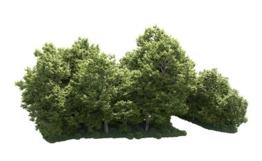 Orman ağaçları arka planda maskeyle izole edilmiş. 3d görüntüleme - illüstrasyon