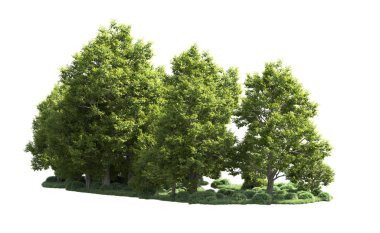Orman ağaçları arka planda maskeyle izole edilmiş. 3d görüntüleme - illüstrasyon