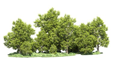Orman ağaçları arka planda maskeyle izole edilmiş. 3d görüntüleme - illüstrasyon
