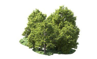 Orman ağaçları arka planda maskeyle izole edilmiş. 3d görüntüleme - illüstrasyon