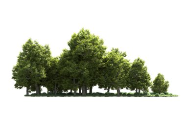 Orman ağaçları arka planda maskeyle izole edilmiş. 3d görüntüleme - illüstrasyon