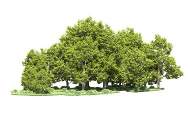 Orman ağaçları arka planda maskeyle izole edilmiş. 3d görüntüleme - illüstrasyon