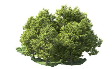 Orman ağaçları arka planda maskeyle izole edilmiş. 3d görüntüleme - illüstrasyon