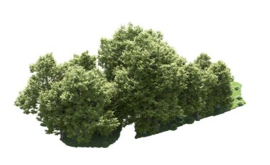 Orman ağaçları arka planda maskeyle izole edilmiş. 3d görüntüleme - illüstrasyon