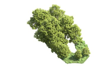 Orman ağaçları arka planda maskeyle izole edilmiş. 3d görüntüleme - illüstrasyon