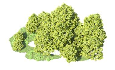 Orman ağaçları arka planda maskeyle izole edilmiş. 3d görüntüleme - illüstrasyon
