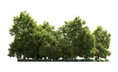 Orman ağaçları arka planda maskeyle izole edilmiş. 3d görüntüleme - illüstrasyon