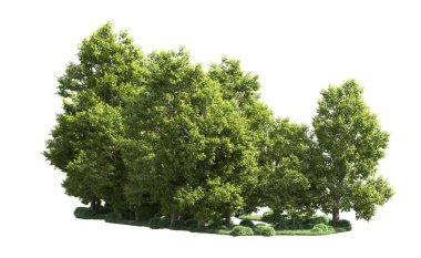 Orman ağaçları arka planda maskeyle izole edilmiş. 3d görüntüleme - illüstrasyon