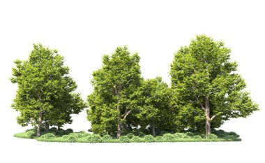 Orman ağaçları arka planda maskeyle izole edilmiş. 3d görüntüleme - illüstrasyon