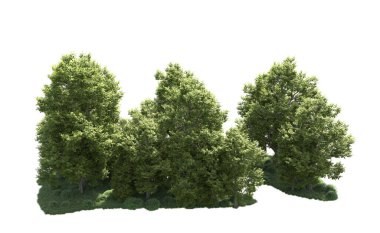 Orman ağaçları arka planda maskeyle izole edilmiş. 3d görüntüleme - illüstrasyon