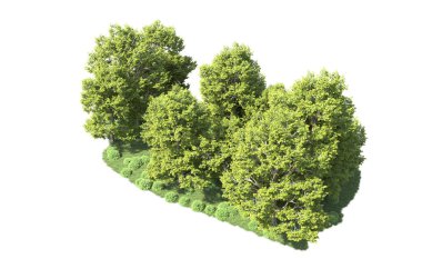 Orman ağaçları arka planda maskeyle izole edilmiş. 3d görüntüleme - illüstrasyon