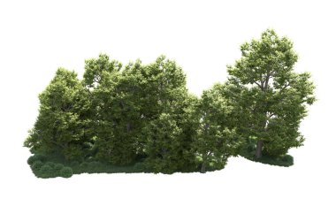 Orman ağaçları arka planda maskeyle izole edilmiş. 3d görüntüleme - illüstrasyon