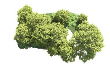 Orman ağaçları arka planda maskeyle izole edilmiş. 3d görüntüleme - illüstrasyon
