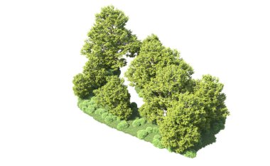Orman ağaçları arka planda maskeyle izole edilmiş. 3d görüntüleme - illüstrasyon