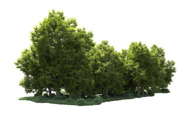 Orman ağaçları arka planda maskeyle izole edilmiş. 3d görüntüleme - illüstrasyon