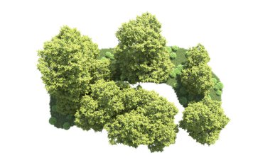 Orman ağaçları arka planda maskeyle izole edilmiş. 3d görüntüleme - illüstrasyon